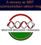 mbt